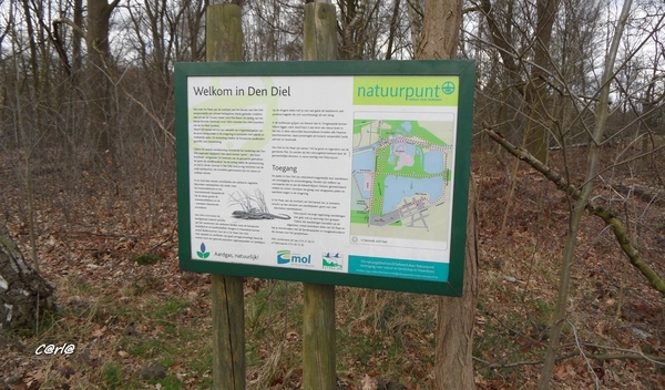 2014-03-04 JanMed Mol (13)