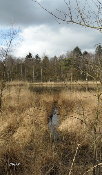 2014-03-04 JanMed Mol (20)