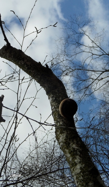 2014-03-04 JanMed Mol (25)