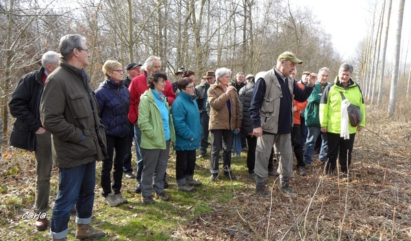 2014-03-04 JanMed Mol (38)