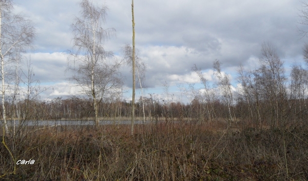 2014-03-04 JanMed Mol (39)