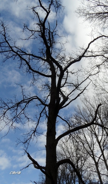 2014-03-04 JanMed Mol (44)