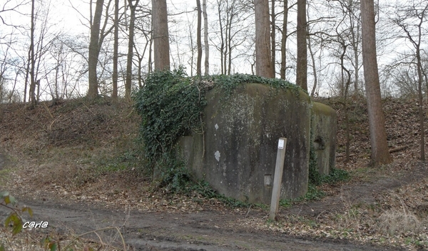 2014-03-04 JanMed Mol (46)