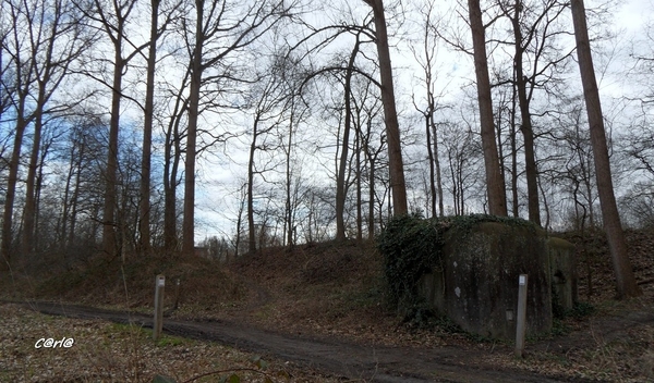 2014-03-04 JanMed Mol (47)