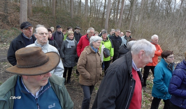 2014-03-04 JanMed Mol (48)