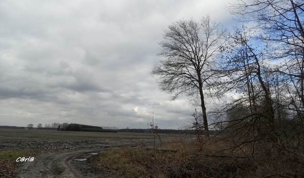 2014-03-04 JanMed Mol (49)