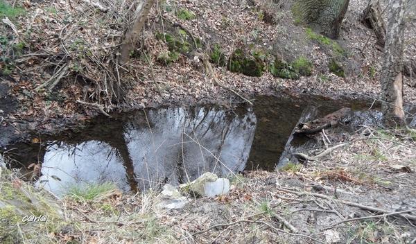 2014-03-04 JanMed Mol (51)