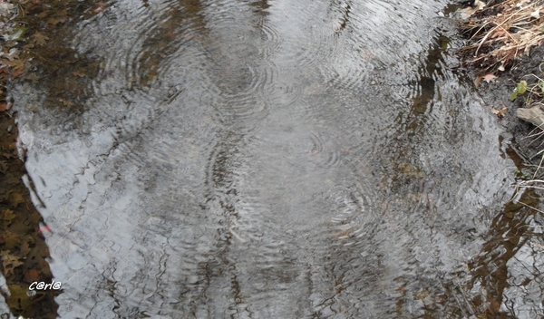 2014-03-04 JanMed Mol (53)