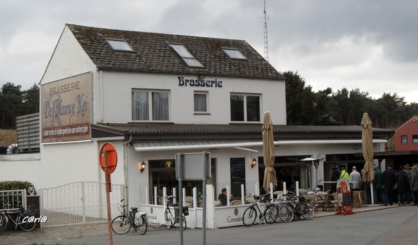 2014-03-04 JanMed Mol (74)