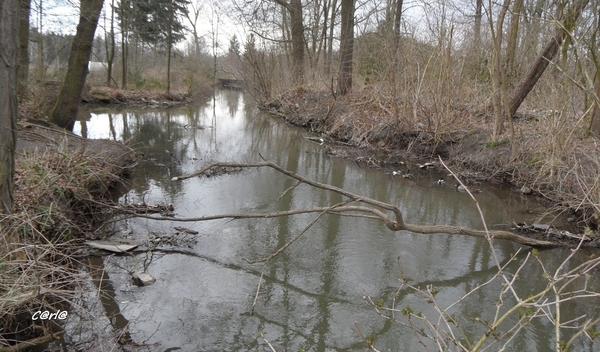 2014-03-04 JanMed Mol (81)