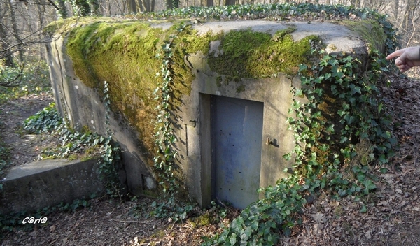 2014-03-04 JanMed Mol (88)