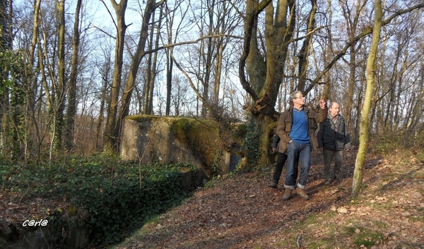 2014-03-04 JanMed Mol (89)