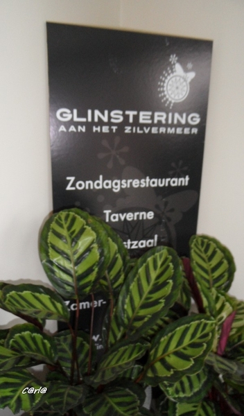 2014-03-04 JanMed Mol (97)