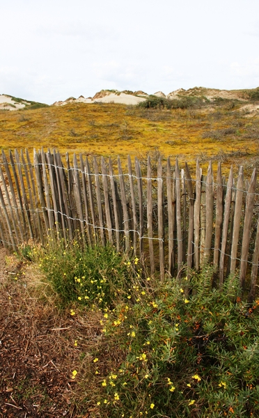 081004 2 23 fort-mahon