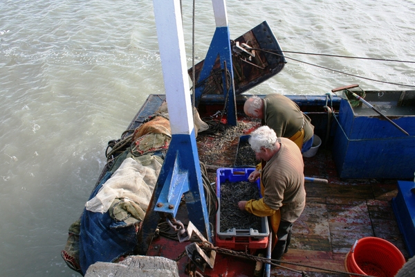 081004 4 02 le hourdel