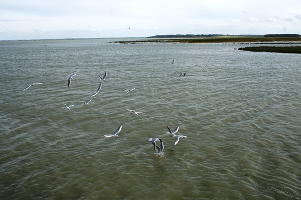 081004 4 03 le hourdel