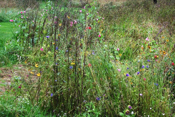 081005 9 16 valloires