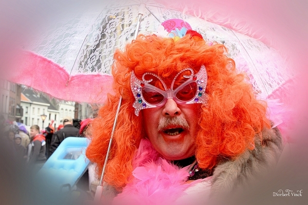 sized_sized_IMG_25934a  Aalst Karnaval dinsdag