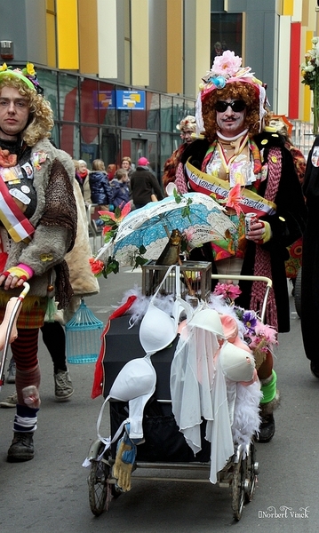 sized_sized_IMG_25965a  Aalst Karnaval dinsdag