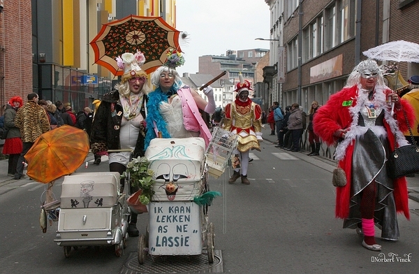 sized_sized_IMG_25966a  Aalst Karnaval dinsdag