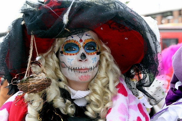 sized_sized_IMG_25978a  Aalst Karnaval dinsdag