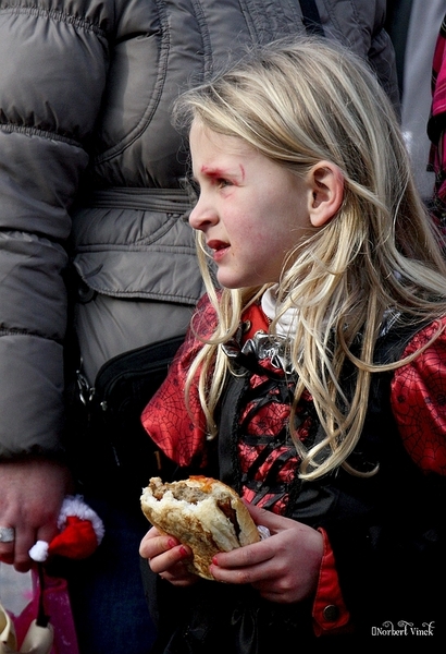 sized_sized_IMG_25989a  Aalst Karnaval dinsdag