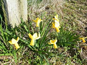 2014_03_09 Herne 019