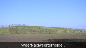 P3100003