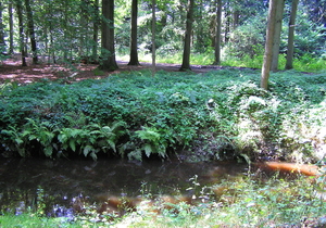 P7310022