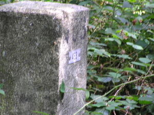 P8030020