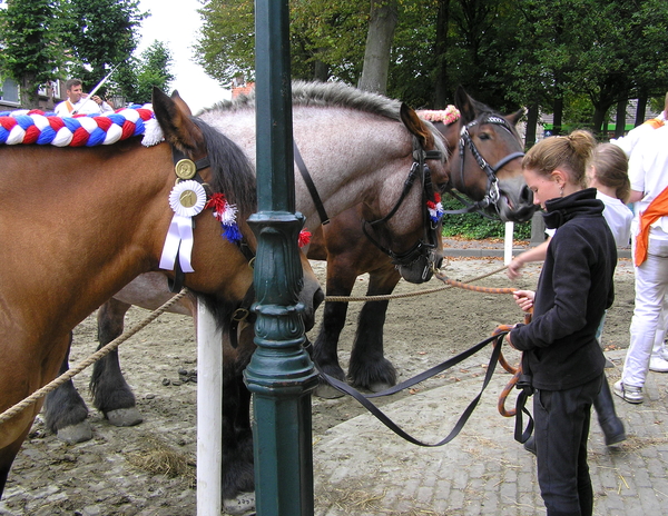 P1010046