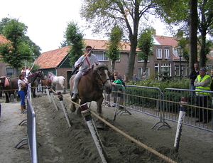 P1010052
