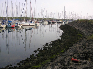 P1010084