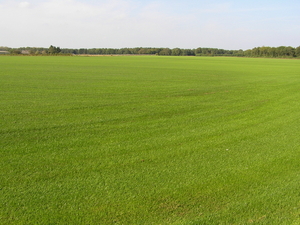 PA040003