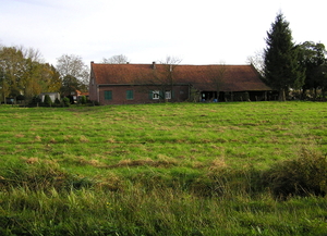 P1010006