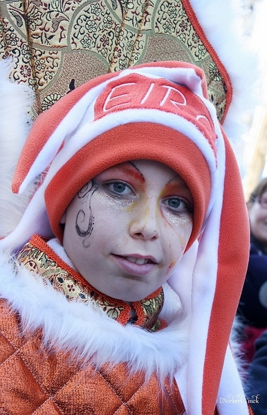 sized_sized_IMG_25842a Aalst Carnaval  2014 maandag