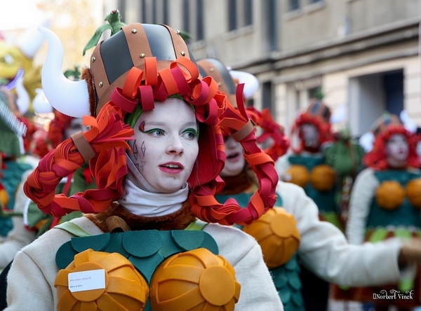 sized_sized_IMG_25875a Aalst Carnaval  2014 maandag