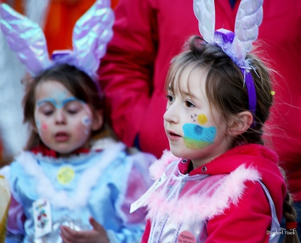 sized_sized_IMG_25905a Aalst Carnaval  2014 maandag