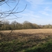 2014-03-08 Zellik 08