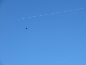 2014-03-09 Herne 29