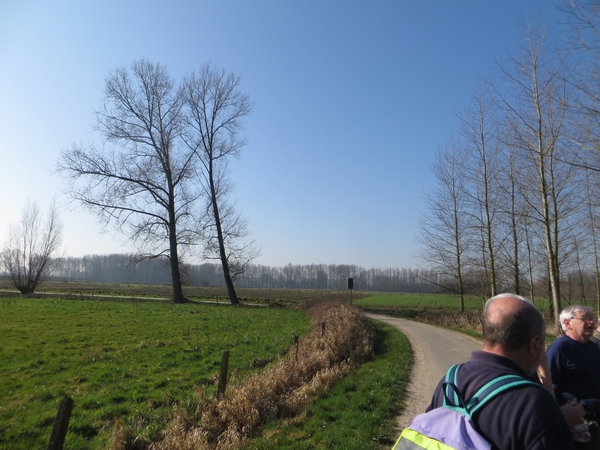 2014-03-10 Gijzegem 10