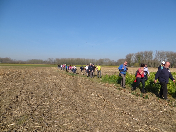 2014-03-10 Gijzegem 14