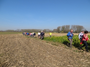 2014-03-10 Gijzegem 15