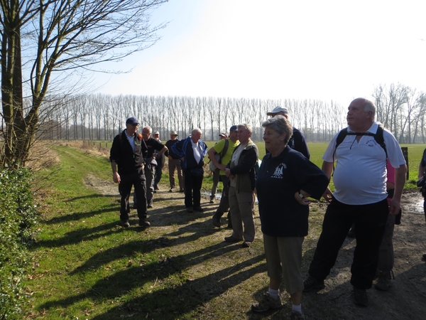 2014-03-10 Gijzegem 26