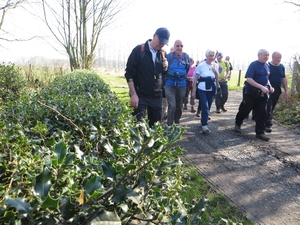 2014-03-10 Gijzegem 28