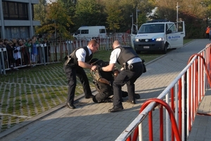 HeklaScholendag-0016