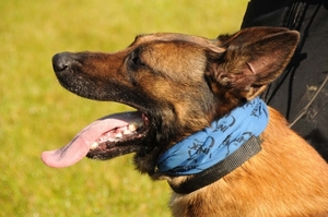 HeklaScholendag-0313