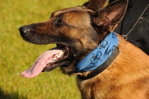 HeklaScholendag-0314