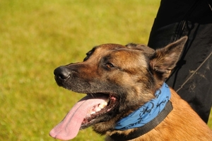 HeklaScholendag-0316