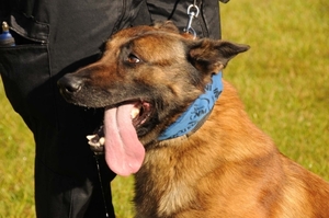 HeklaScholendag-0317